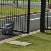 Liger - Image 2